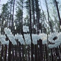 ABSOLUT_Things