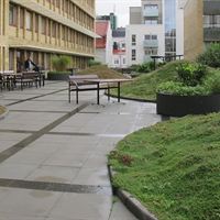 Skanskas tak och terrass i Malmö 