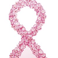 Geishas rosa band