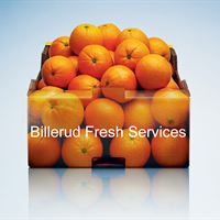 Billerud Fresh Services