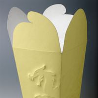 FibreForm take away packaging