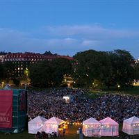 Publikrekord på Sommarbio