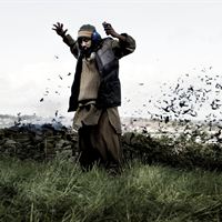 Four Lions