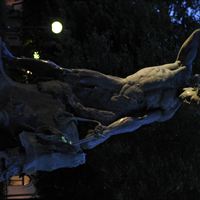 Belysningsprojektet - Mariatorget - Tors Fiske
