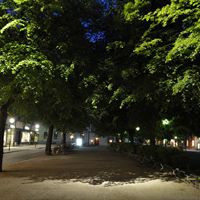 Allbelysning - Mariatorget