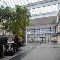 Q8 atrium