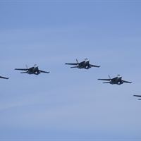 Growler