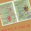 De ska ju ändå dö