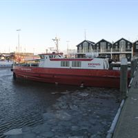 Wind Transporter