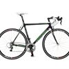 Nishiki Team Carbon