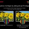 Sharp AQUOS LED Quattron - 4 färger en helt ny standard