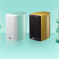 Allroom korall