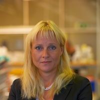 Kerstin Lindell, VD och Koncernchef