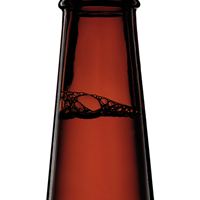 Falcon Pilsener