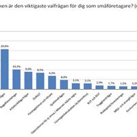 Viktigaste valfrågan
