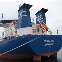 IMG 0017