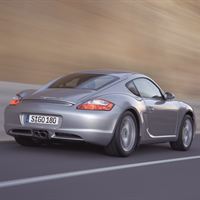 Cayman2