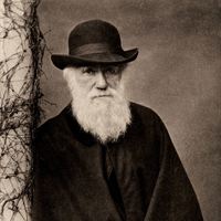 Foto av Darwin: Elliott & Fry, London, ca 1880