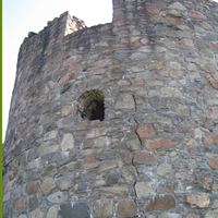 Mors mössa, närbild