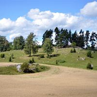 Naturbetesmark