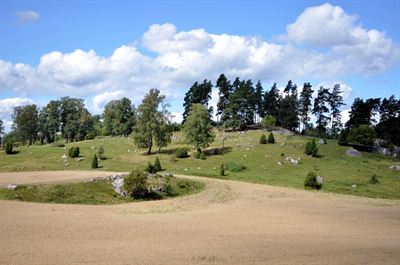 Naturbetesmark