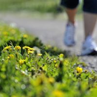 Pilgrimsvandring