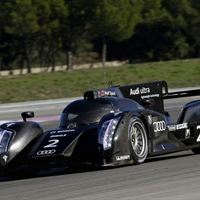 Audi motorsport