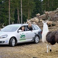 Volkswagen och Kolmården