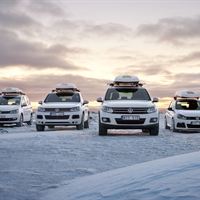 Ski Team-modeller