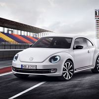 Beetle