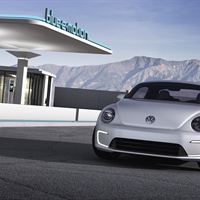 E-Bugster