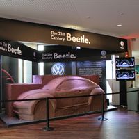 Beetle