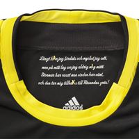 AIK 2012 text