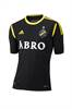 AIK 2012