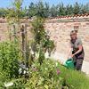 Inger Blomgren Larsson har designat läkeväxtträdgården i Haven Österlen.
