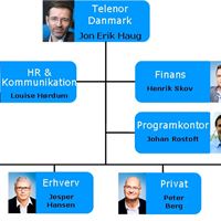 Telenor Danmarks organisation oktober 2010