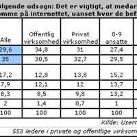 Lederundersøgelse 1