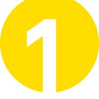 Logotyp Net 1