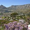 table mountain
