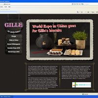 Gillebagarens nya kampanjsajt, www.gilleexpo.com.