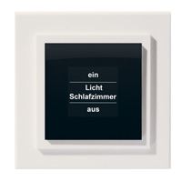 Funk-Display-Wandtaster: garantierte Ablesbarkeit über OLED-Vollgrafik-Display