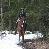 LRF uppmanar - Rid klokt i geggan