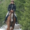 LRF uppmanar - Rid klokt i geggan