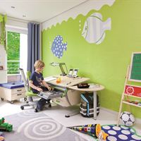 Mitwachsender Schülerschreibtisch Booster von moll