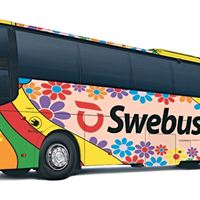 Festivalbuss