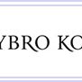 Nybro Kommun