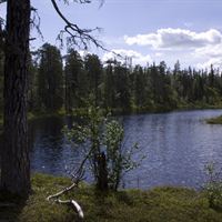 Ekopark Luottåive