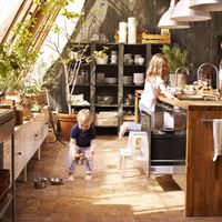 WWF och IKEA söker hushåll som vill leva HÅLLBART HEMMA