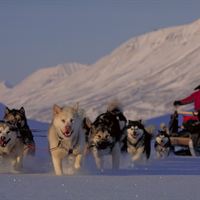 Hundspann är ett av Ekoturismföreningens kvalitetsmärkta arrangemang 