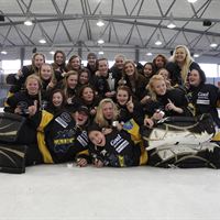 AIK_Vinnarlaget